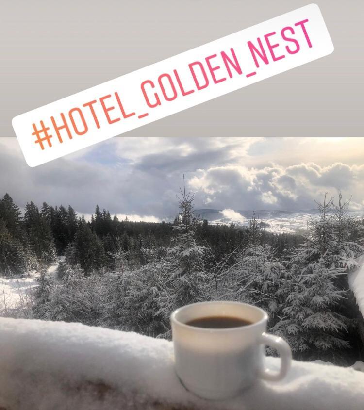 Ferienwohnung Golden Nest Jablunyzja Exterior foto